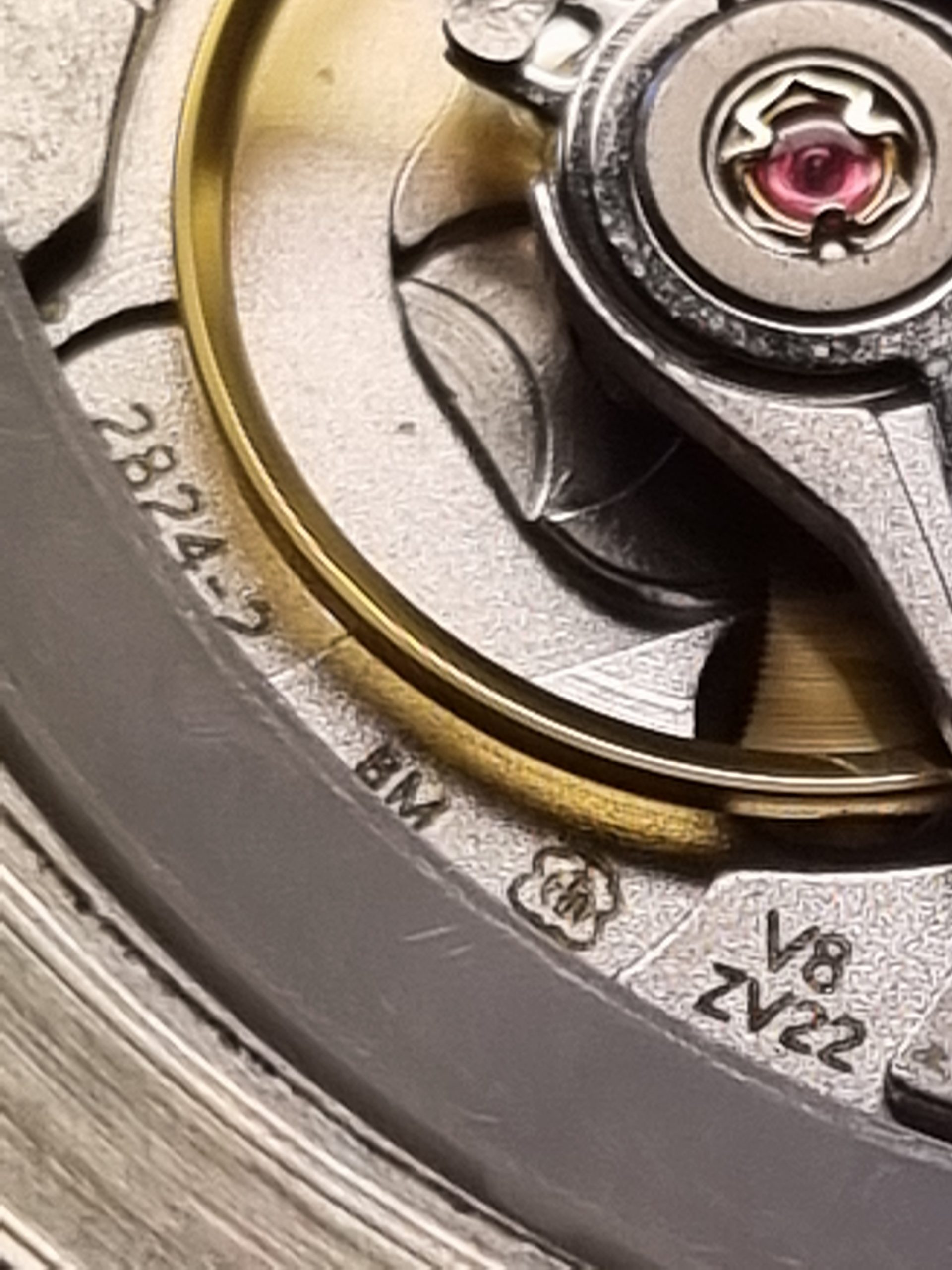 Black Kelpie - Image 6