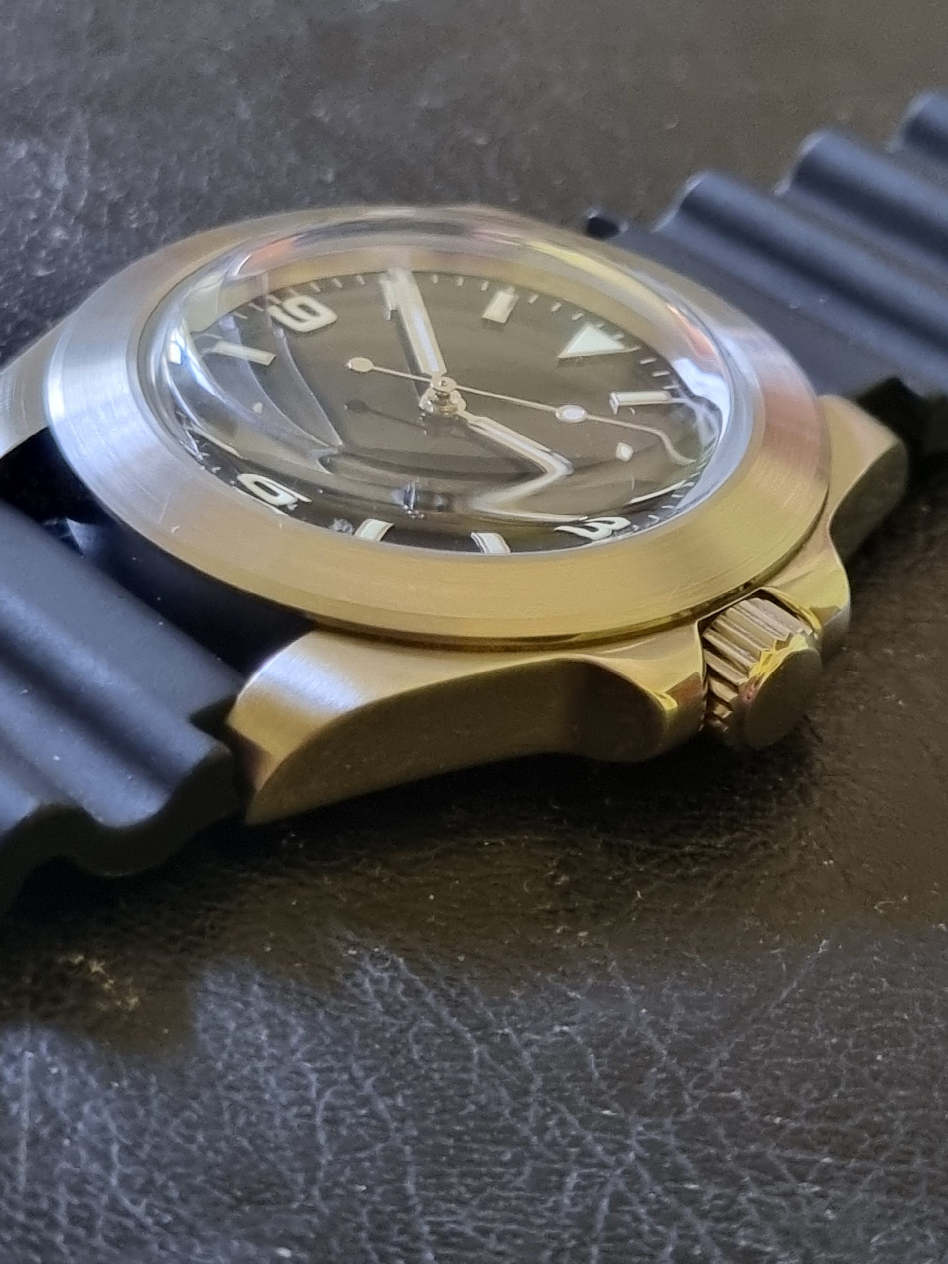 Black Kelpie - Image 8